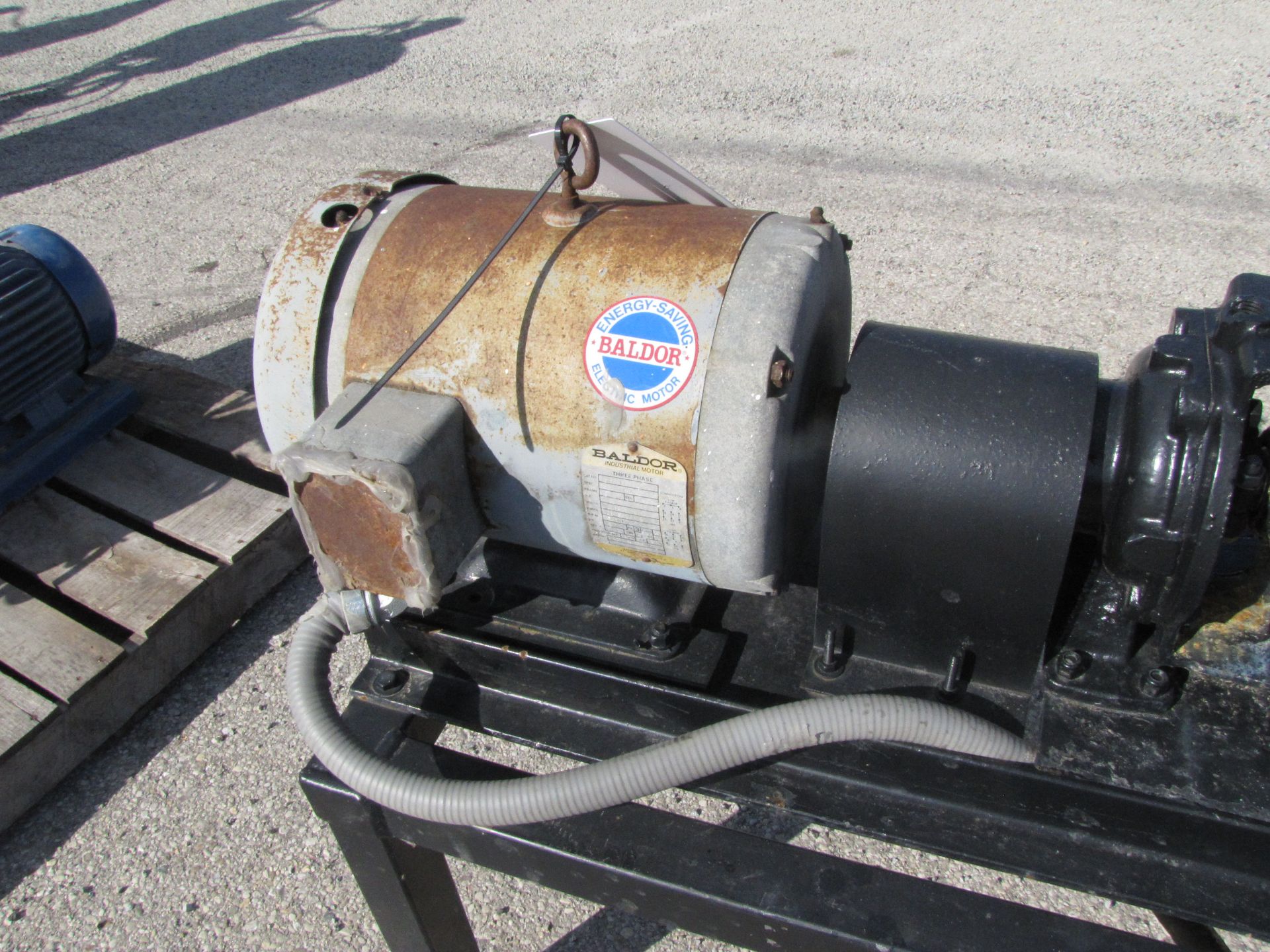 Pump and Motor - Image 5 of 5