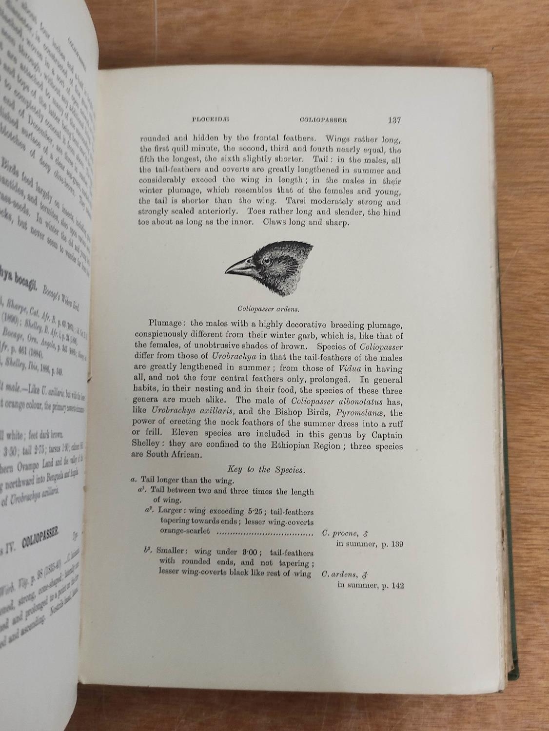 STARK A. C. & SCLATER W. L.  The Birds of South Africa. 4 vols. Port. frontis, col. fldg. map & many - Image 5 of 7