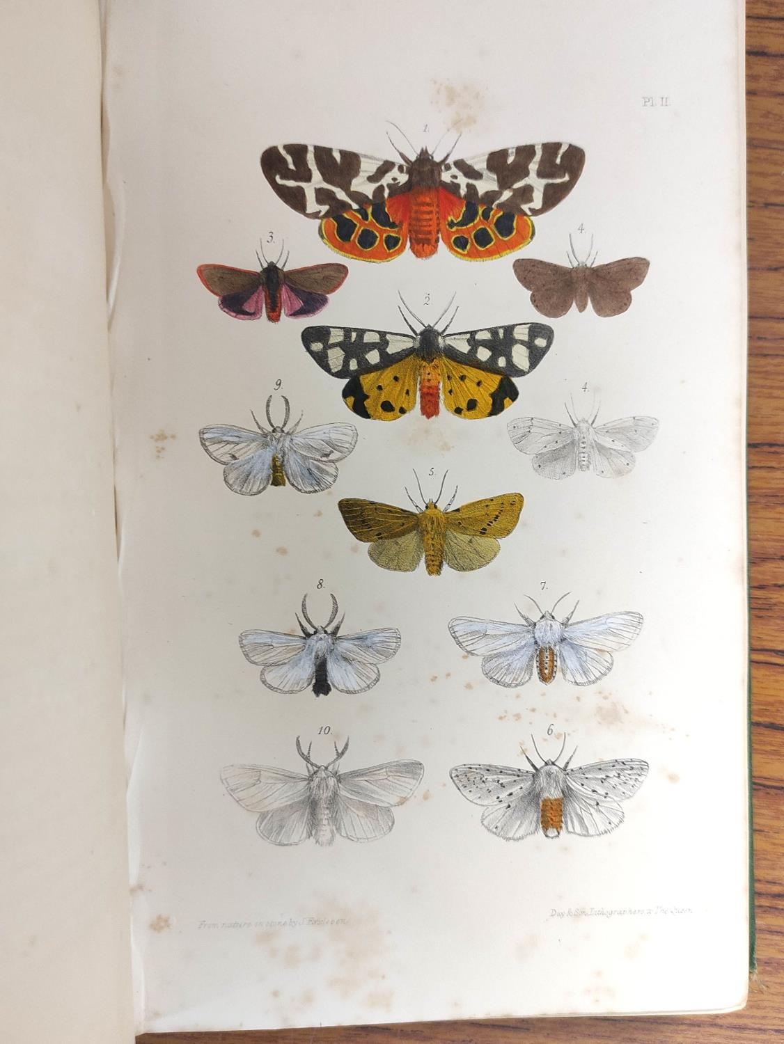 MORRIS REV. F. O.  A Natural History of British Moths. 4 vols. Many hand col. eng. plates. Royal - Image 7 of 10