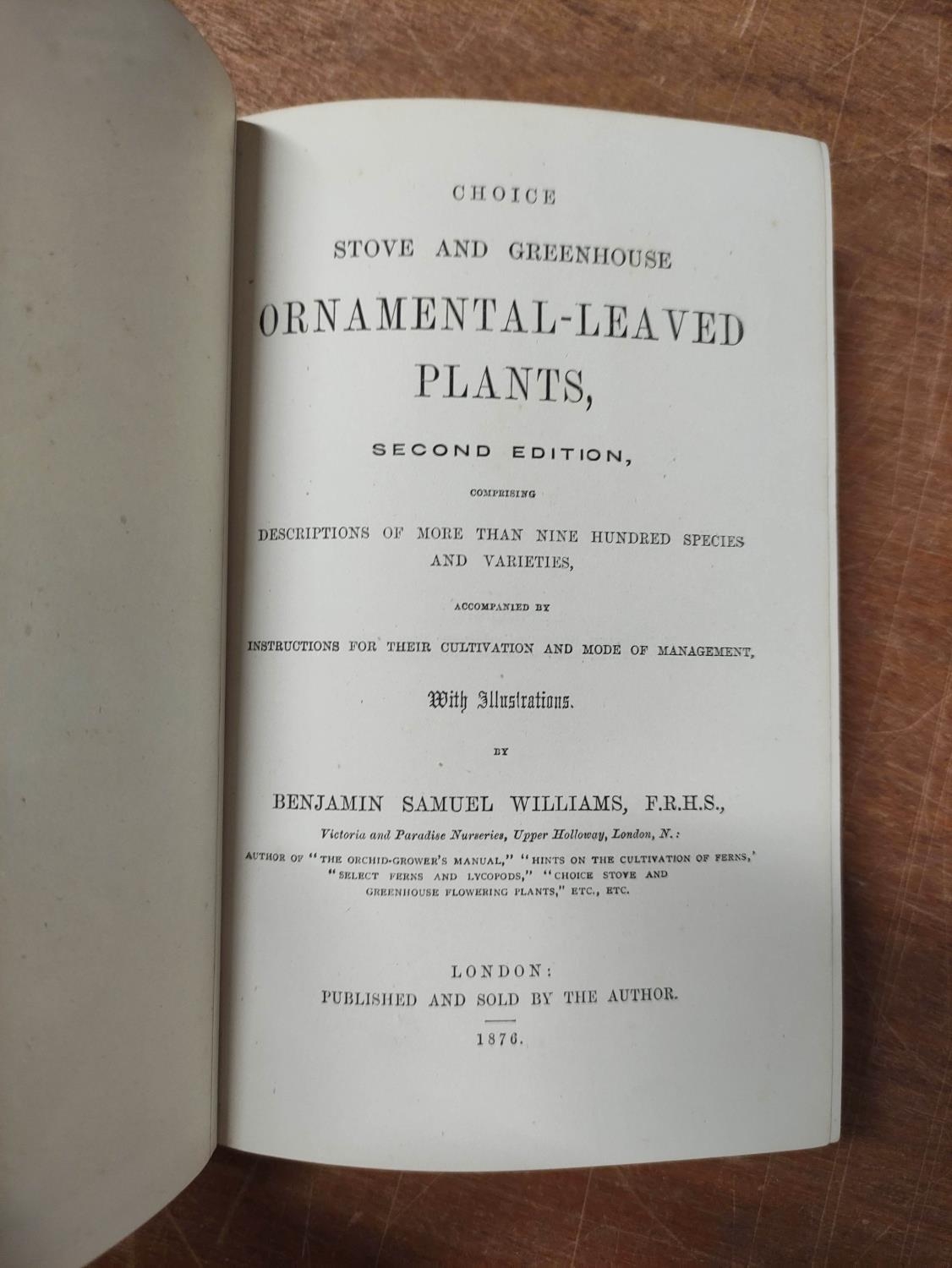 WILLIAMS BENJAMIN S.  Choice Stove & Greenhouse Ornamental-Leaved Plants. Double page eng. - Image 2 of 13