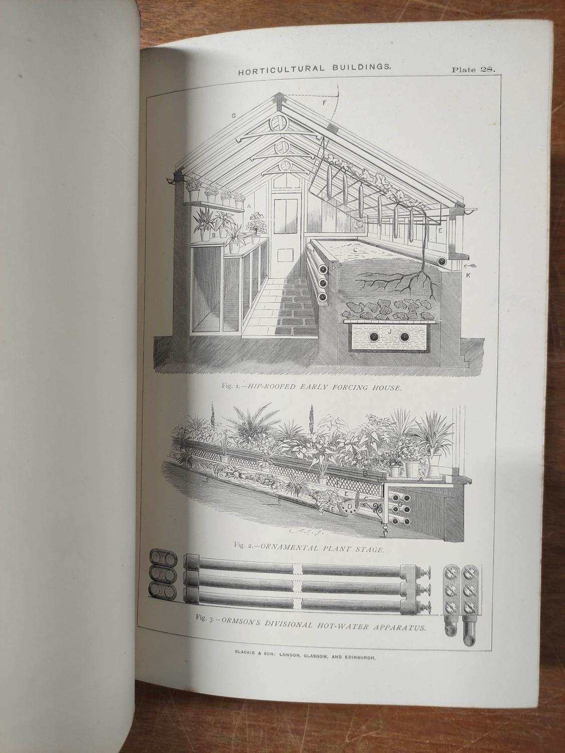 THOMPSON ROBERT.  The Gardener's Assistant. Chromolitho & other plates. Royal 8vo. Orig. green - Image 8 of 15