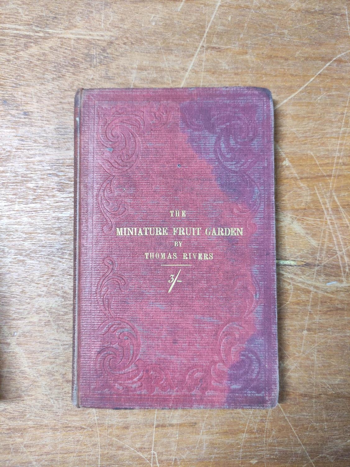 WILLIAMS BENJAMIN S.  Choice Stove & Greenhouse Ornamental-Leaved Plants. Double page eng. - Image 9 of 13