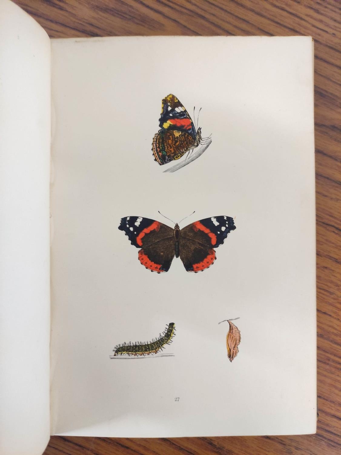 MORRIS REV. F. O.  A History of British Butterflies. Good hand col. plates. Quarto. Orig. green - Image 10 of 10