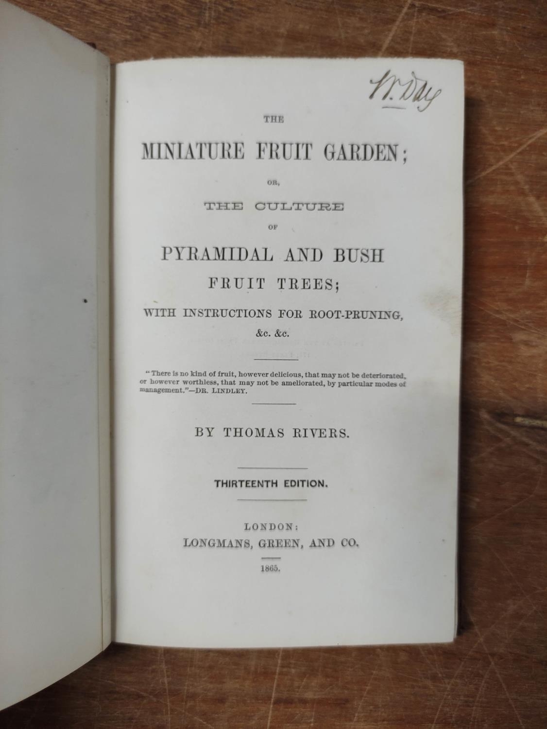 WILLIAMS BENJAMIN S.  Choice Stove & Greenhouse Ornamental-Leaved Plants. Double page eng. - Image 10 of 13