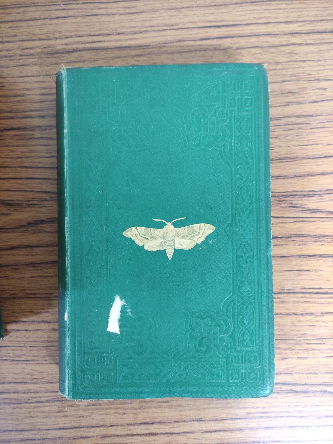 MORRIS REV. F. O.  A Natural History of British Moths. 4 vols. Many hand col. eng. plates. Royal - Image 2 of 10