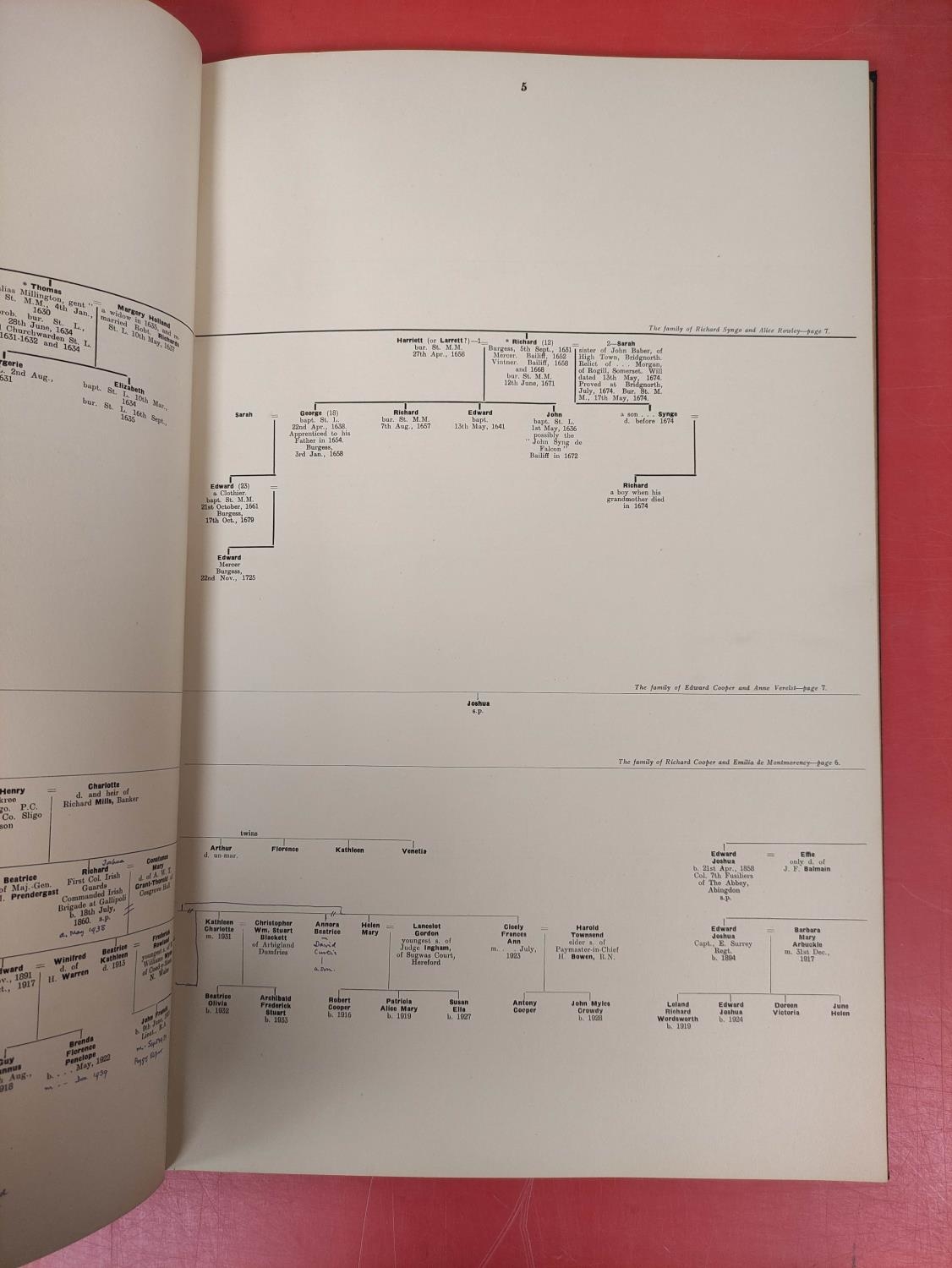 The Family of Synge or Sing.  Pedigree Tables. Folio. Dark cloth with pasted in additional - Image 6 of 10