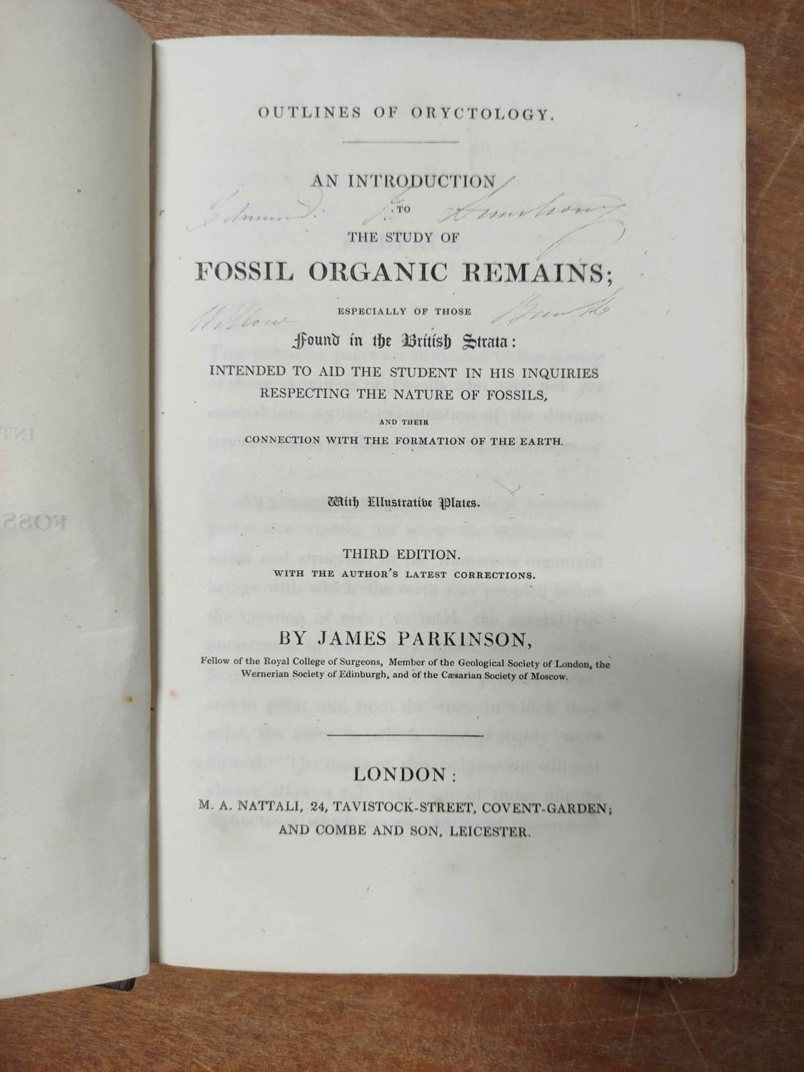 PARKINSON JAMES.  An Introduction to the Study of Fossil Organic Remains, Especially of Those - Image 3 of 7