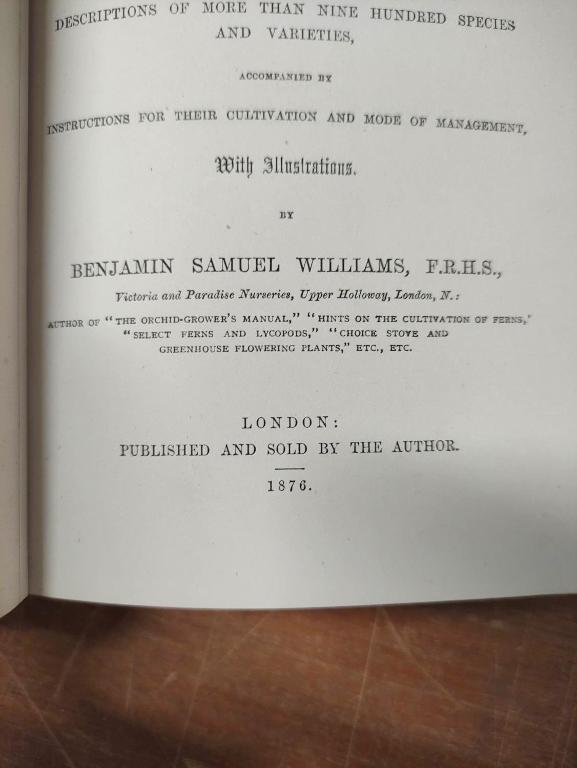 WILLIAMS BENJAMIN S.  Choice Stove & Greenhouse Ornamental-Leaved Plants. Double page eng. - Image 3 of 13