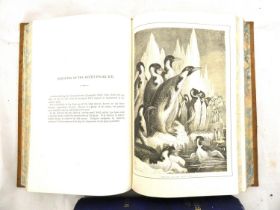 HARTWIG DOCTOR G.  The Sea & Its Living Wonders. Fldg. map (tear noted). Litho frontis & plates.