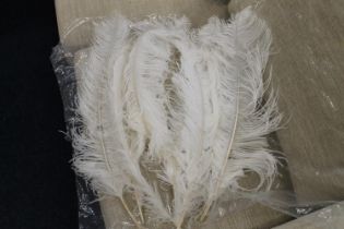 Seven white coloured ostrich feathers.