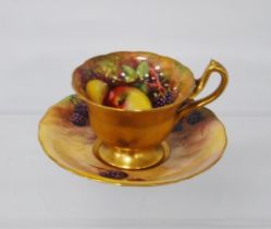 Royal Worcester hand-painted porcelain cabinet cup and saucer, signed W Hale and Price, decorated