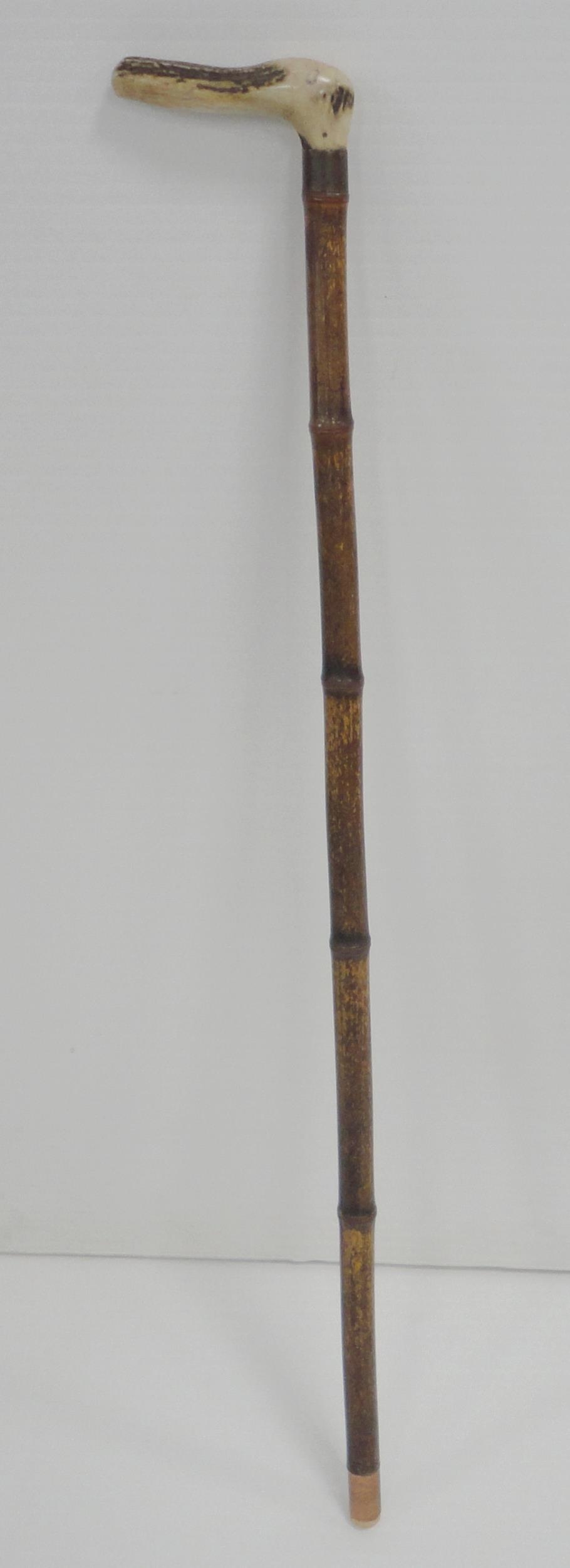 Bamboo and antler-handled walking cane with graduation for measuring the height of horses, 94cm, a - Image 7 of 20