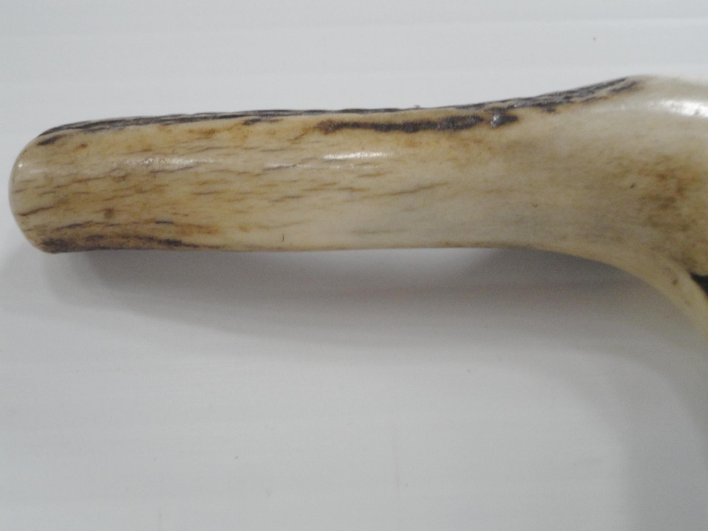 Bamboo and antler-handled walking cane with graduation for measuring the height of horses, 94cm, a - Image 9 of 20