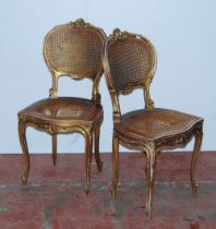 Gill & Reigate of London Pair of Regency-style giltwood parlour chairs, with cane work to the back