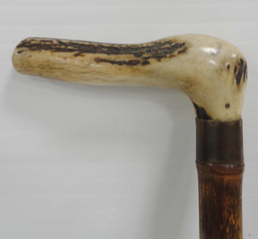 Bamboo and antler-handled walking cane with graduation for measuring the height of horses, 94cm, a - Image 8 of 20