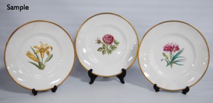 Set of twelve Royal Worcester porcelain botanical cabinet plates designed by AH Williamson, each