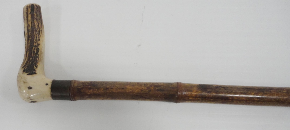 Bamboo and antler-handled walking cane with graduation for measuring the height of horses, 94cm, a - Image 12 of 20