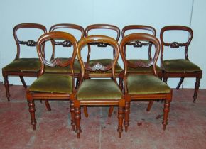 Five matching Victorian mahogany balloon-back dining chairs, each with scroll stretcher and slip-