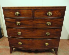 Georgian mahogany bowfront chest of two short and three long graduated drawers, with box