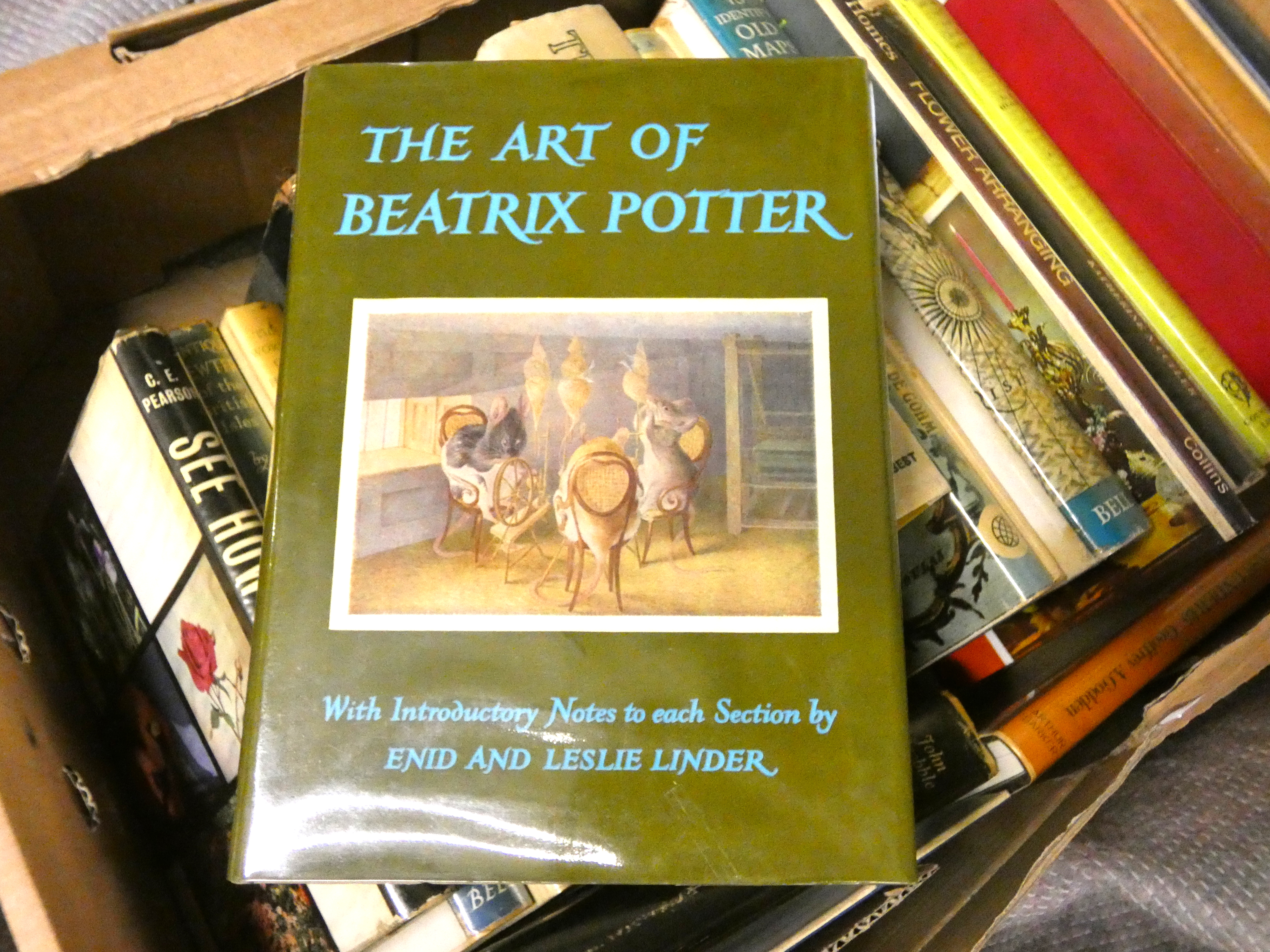 Various.  A carton of various vols. incl. some antiques reference incl. The Art of Beatrix Potter in - Image 5 of 10