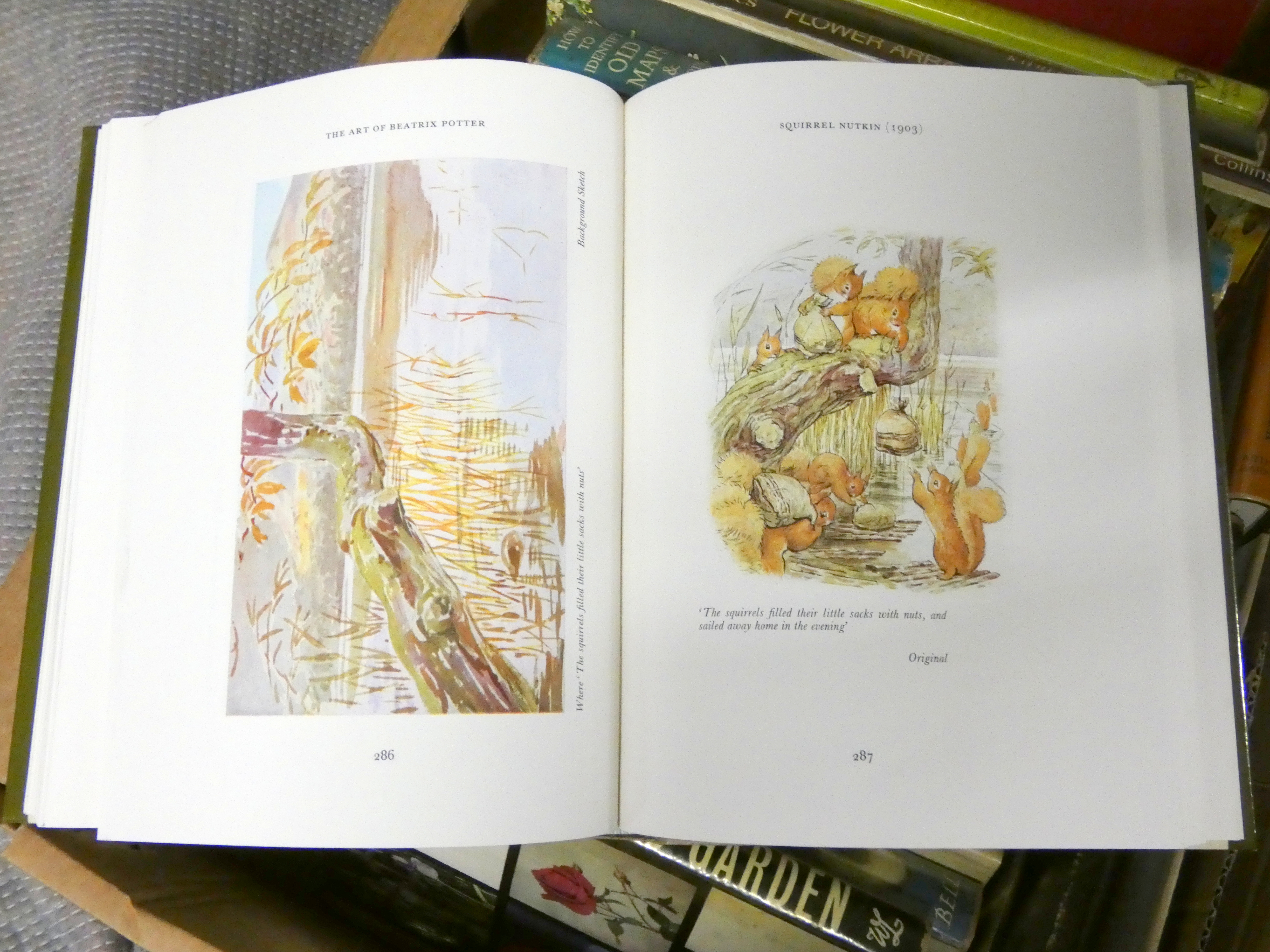 Various.  A carton of various vols. incl. some antiques reference incl. The Art of Beatrix Potter in - Image 9 of 10
