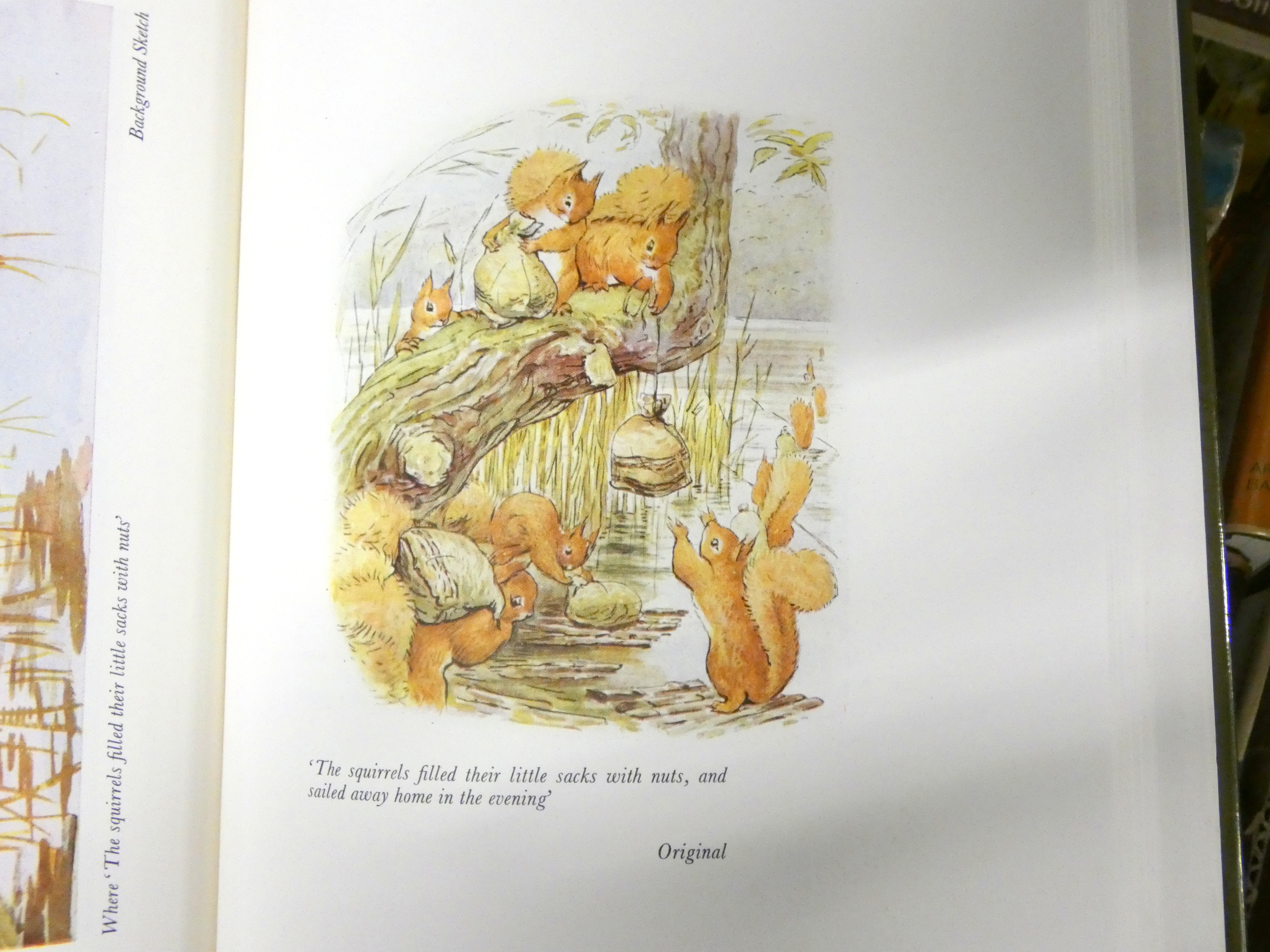 Various.  A carton of various vols. incl. some antiques reference incl. The Art of Beatrix Potter in - Image 10 of 10