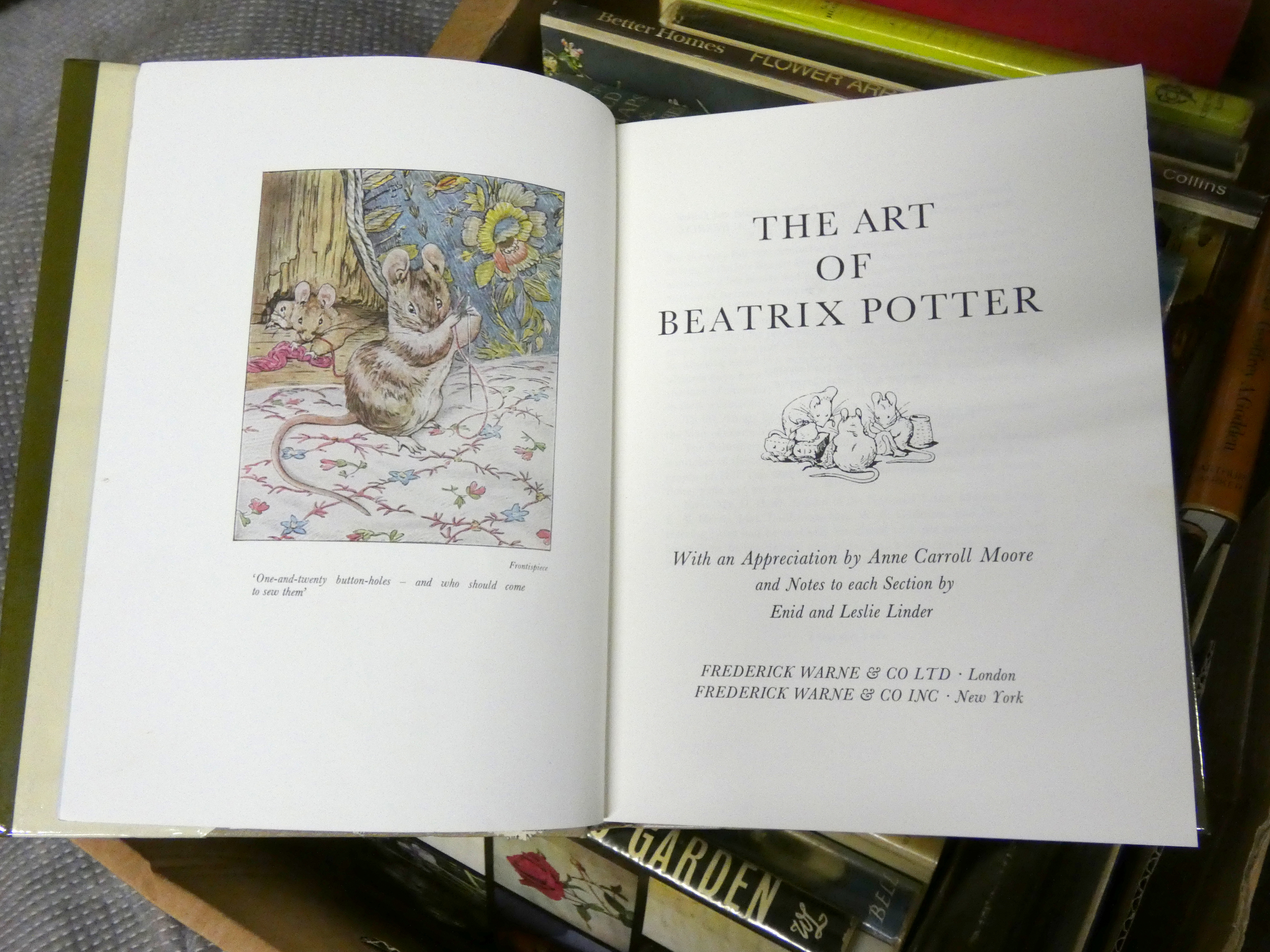 Various.  A carton of various vols. incl. some antiques reference incl. The Art of Beatrix Potter in - Image 6 of 10