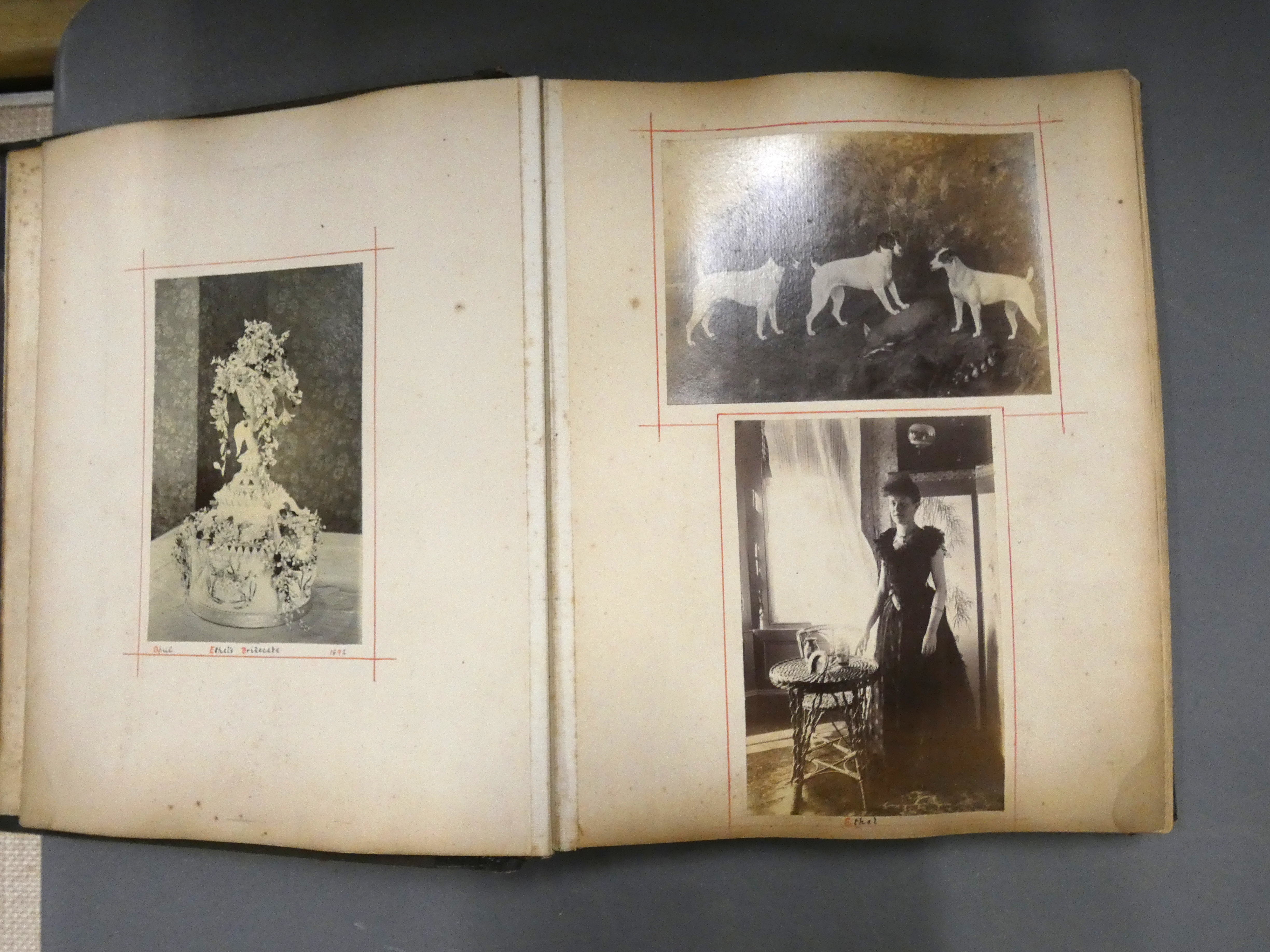 Lee Family.  Four photograph, scrap & cuttings albums, 1870's-1950's incl. local & equestrian