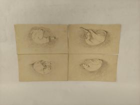 Attr. to William James Blacklock. Four studies of a sleeping hound. Pencil. Each 12cm x 22cm.