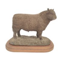 Border Fine Arts limited edition bronzed figure of a Belted Galloway Bull signed Ayres .81 12/850