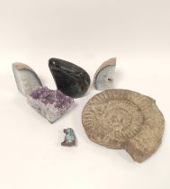 Group of geode and natural specimen rocks to include an amethyst geode converted to candle holder,