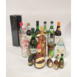 Collection of Spirits and Liqueurs, to include two bottles of vodka, two bottles of Martini, Croft