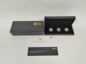 United Kingdom. Royal Mint Limited edition 2013 Silver Proof Piedfort "30th Anniversary of the