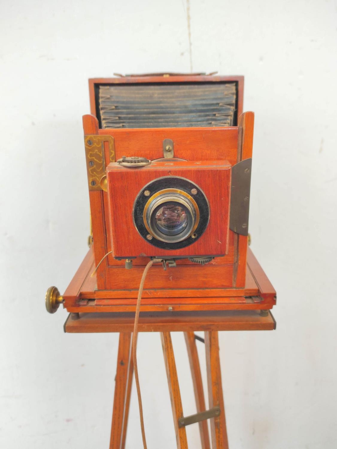 Lizar's Challenge Half-Plate Field Camera, brass and mahogany construction circa 1910s - Image 4 of 8