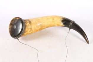 Horn drinking flask, late 19th century, of curved and twisted shape with polished horn and cork