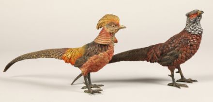 Two cold painted bronze pheasants, Lady Amherst pheasant and a Golden pheasant, 37cm long, 33 cm