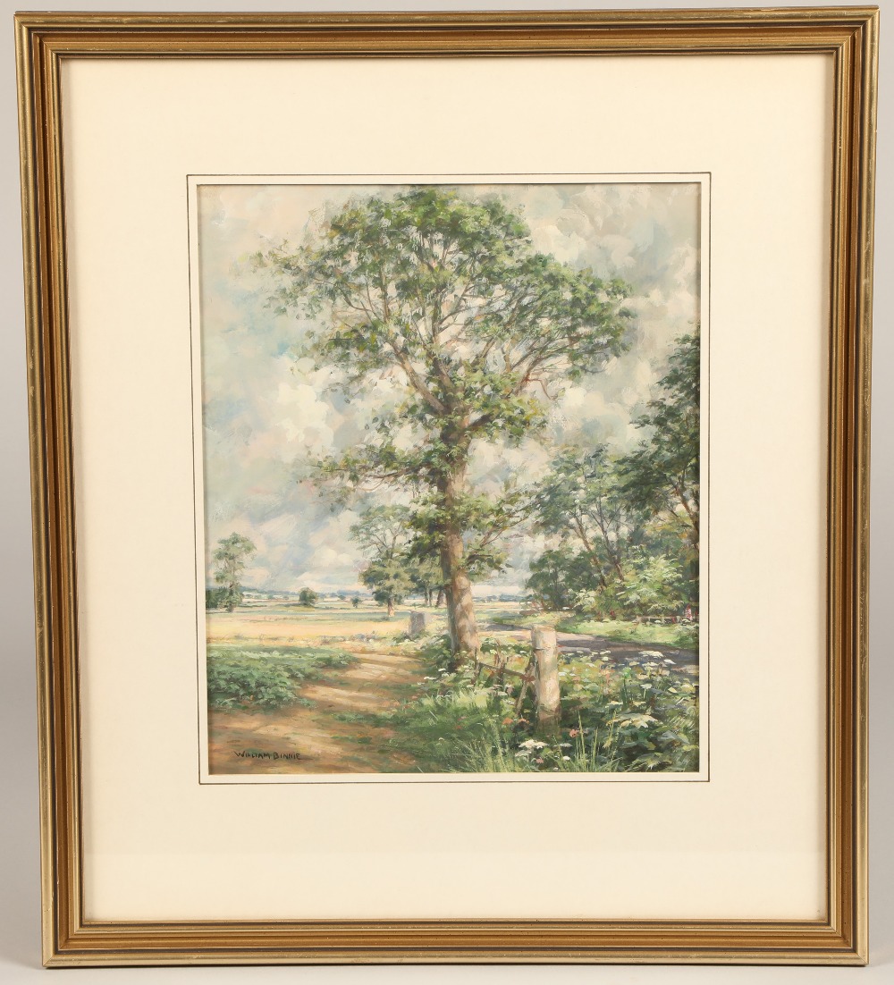 William Binnie, framed watercolour, signed, "A View Looking East Near Old Downie and Carlungie, - Image 2 of 3