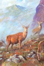 Craig Campbell (Scottish born 1960) ARR framed oil on board "Stags"  Unsigned 49 x 76 cm (62 x 89 cm