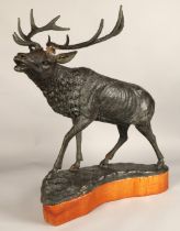 Contemporary bronze stag figure with hardwood base, 68cm height (81.5cm including antlers), 63cm