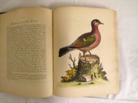 EDWARDS GEORGE.  A Natural History of Birds, Most of Which have not been Figur'd or Describ'd &