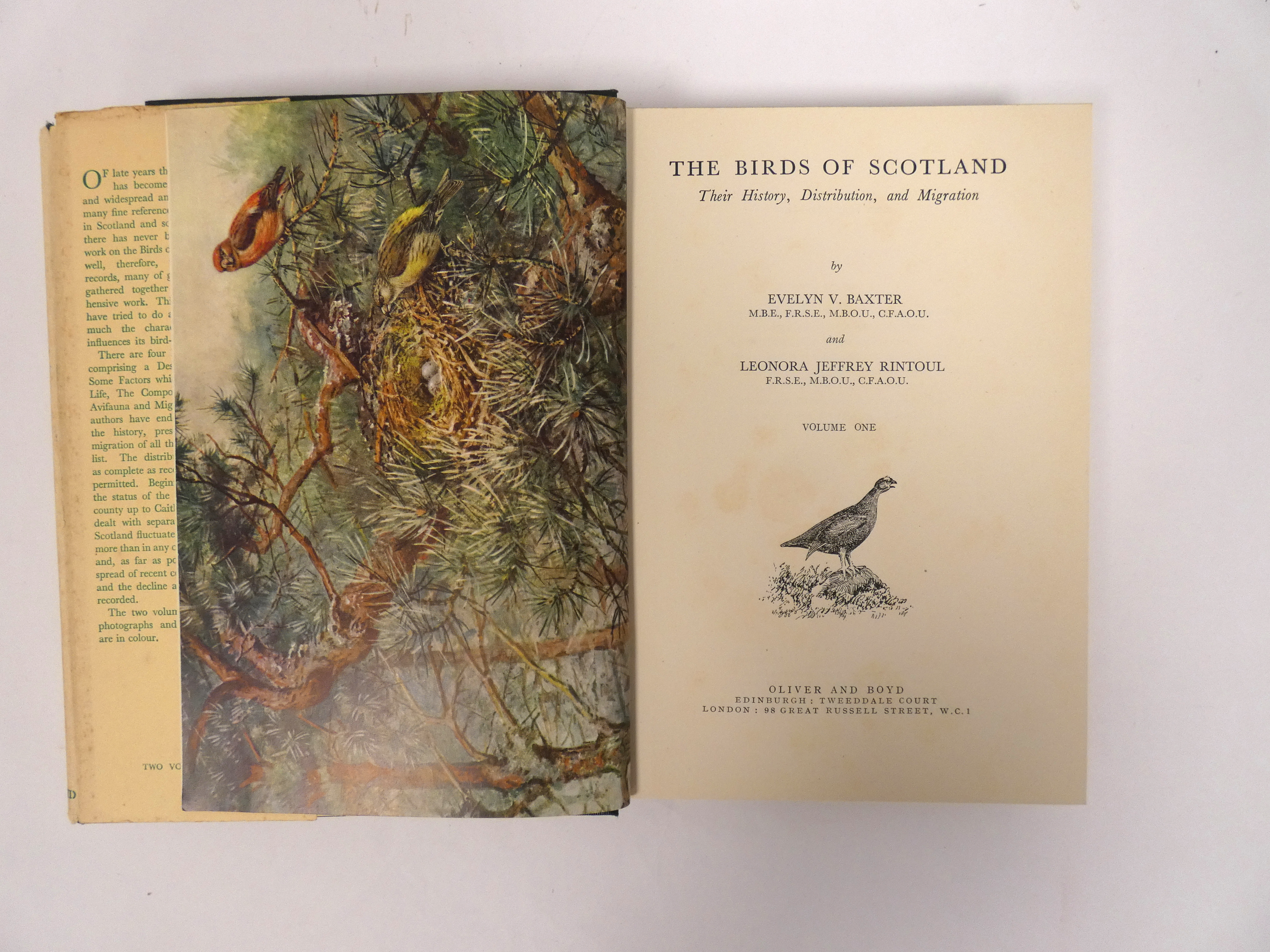 BAXTER E. V. & RINTOUL L. J.  The Birds of Scotland. 2 vols. Col. frontis & other illus. Quarto. - Image 2 of 4