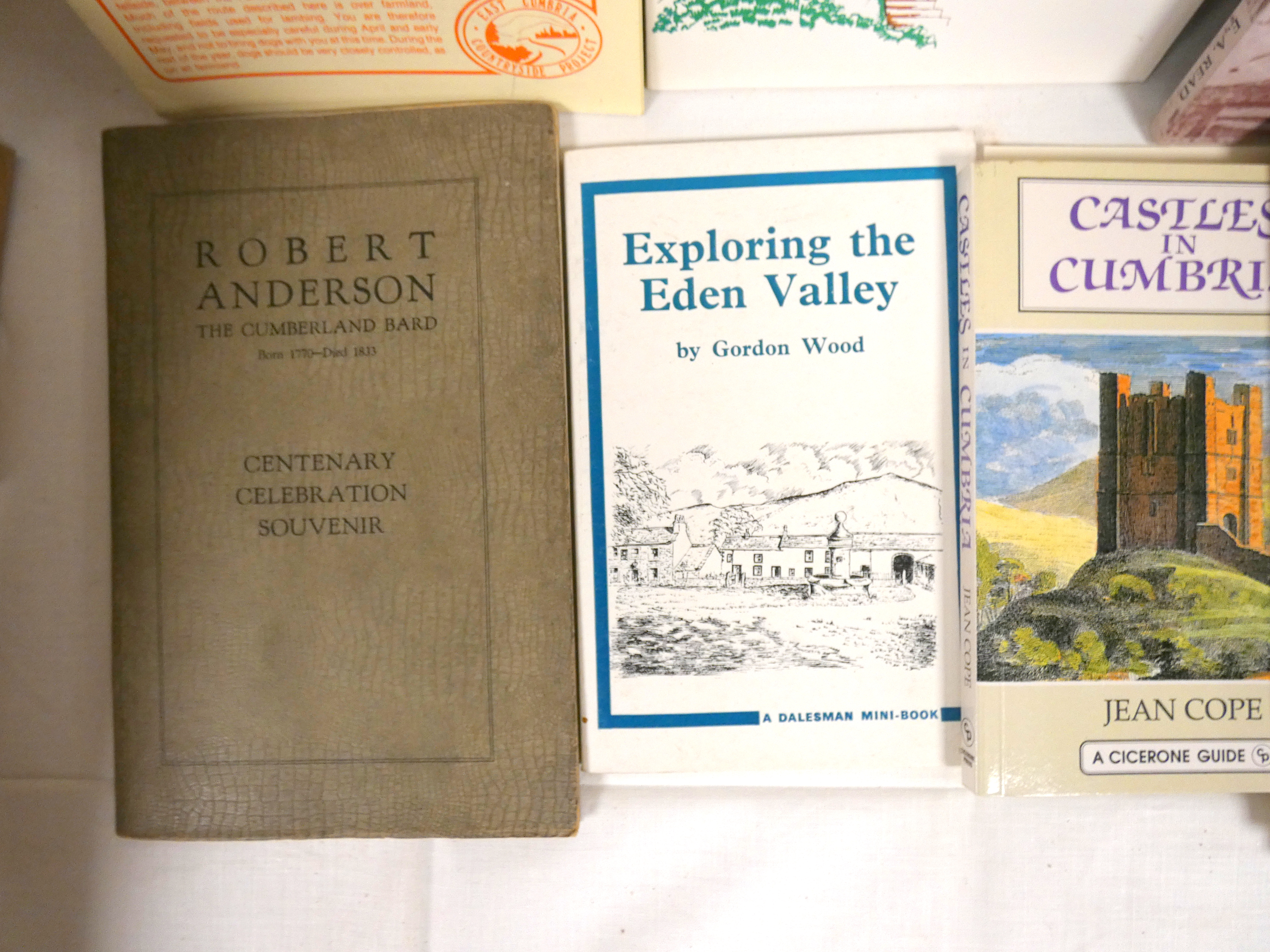 Cumbria & Lake District.  A carton of books & softback publications. - Image 2 of 4