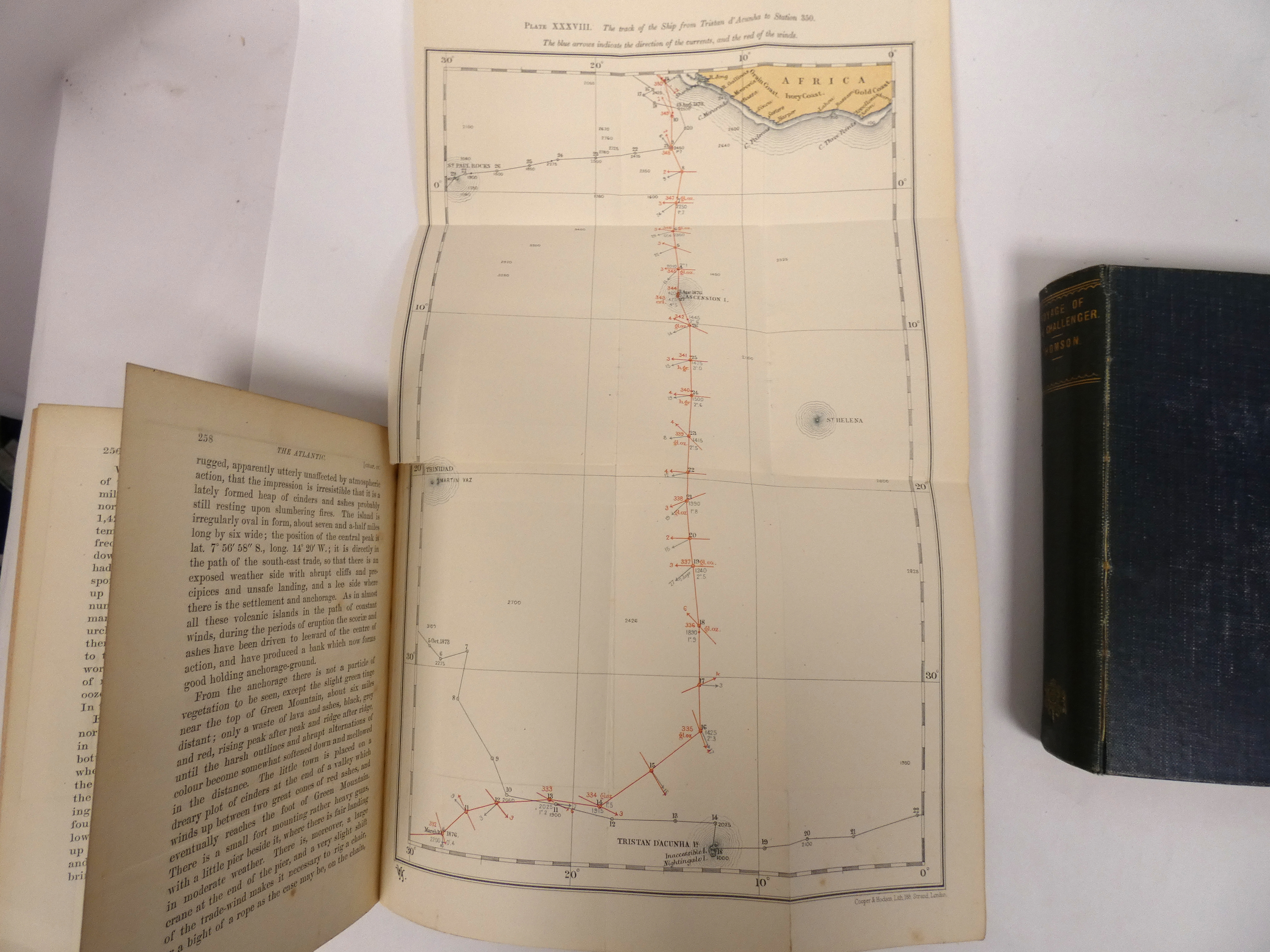 WYVILLE THOMSON SIR C.  The Voyage of the Challenger, the Atlantic, A Preliminary Account of the - Bild 5 aus 8