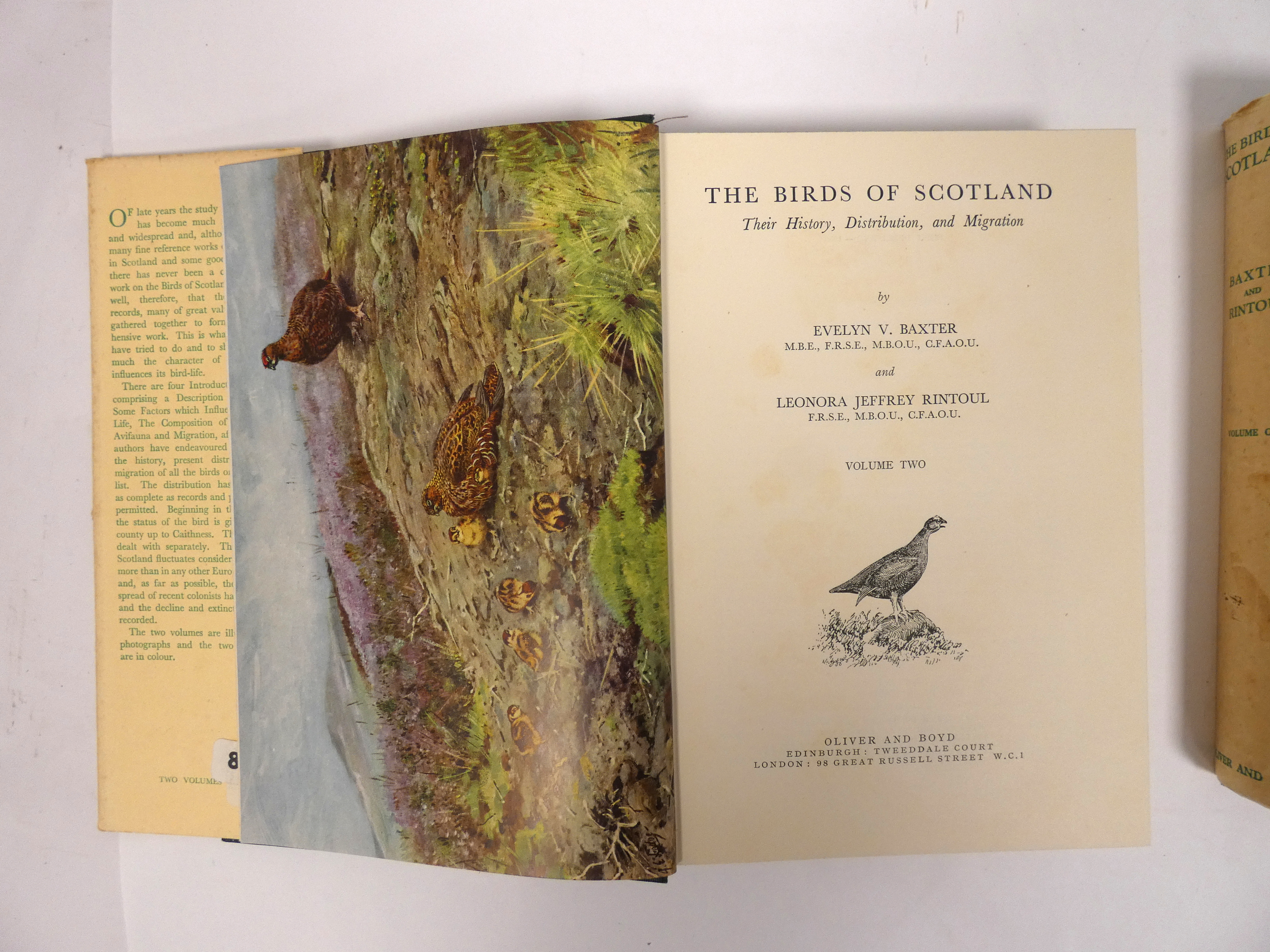 BAXTER E. V. & RINTOUL L. J.  The Birds of Scotland. 2 vols. Col. frontis & other illus. Quarto. - Image 4 of 4