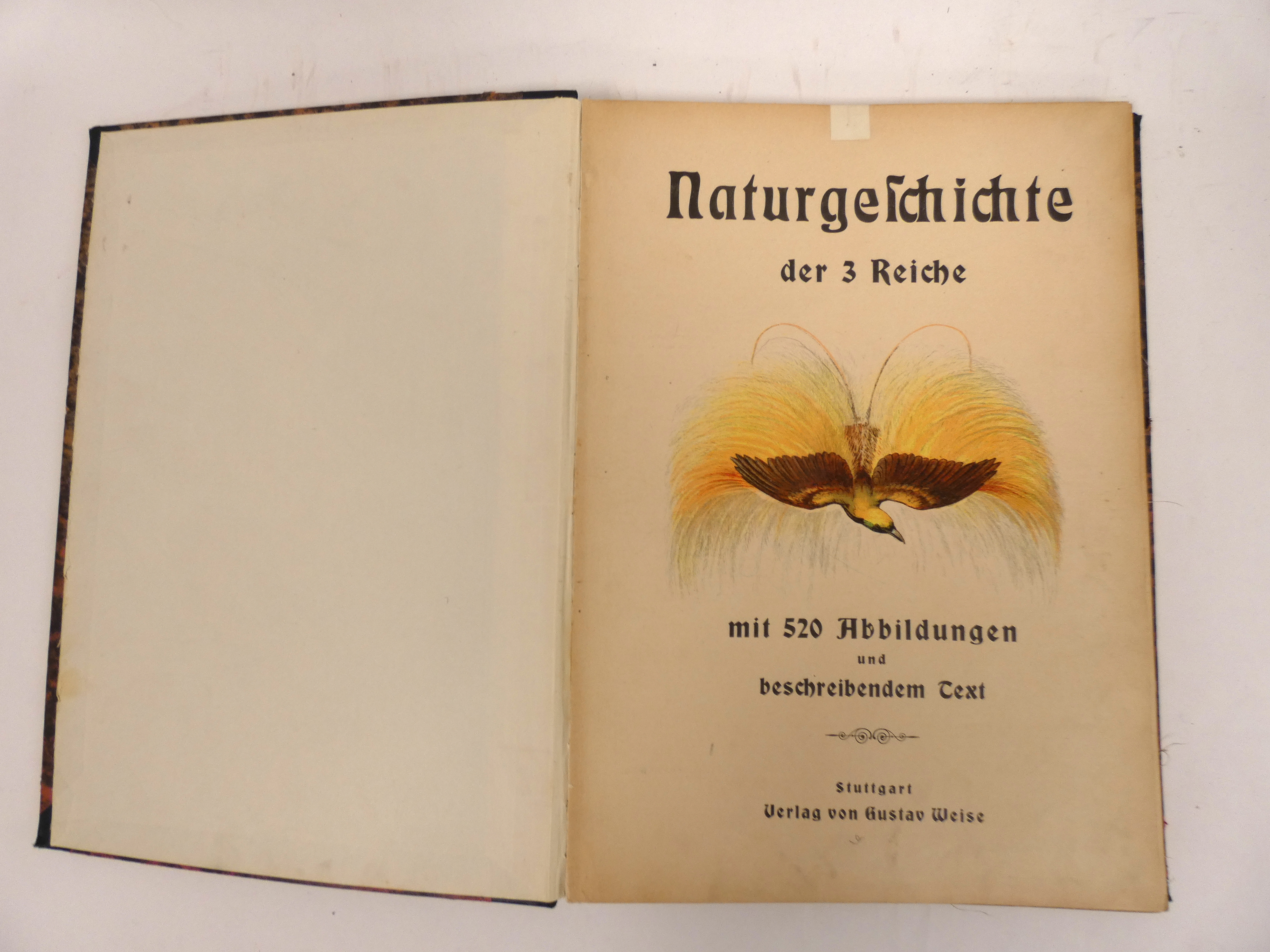 WEISE GUSTAV (Pubs).  Naturgeschichte der III Reich. 24 consecutively numbered chromolitho multi- - Image 2 of 8