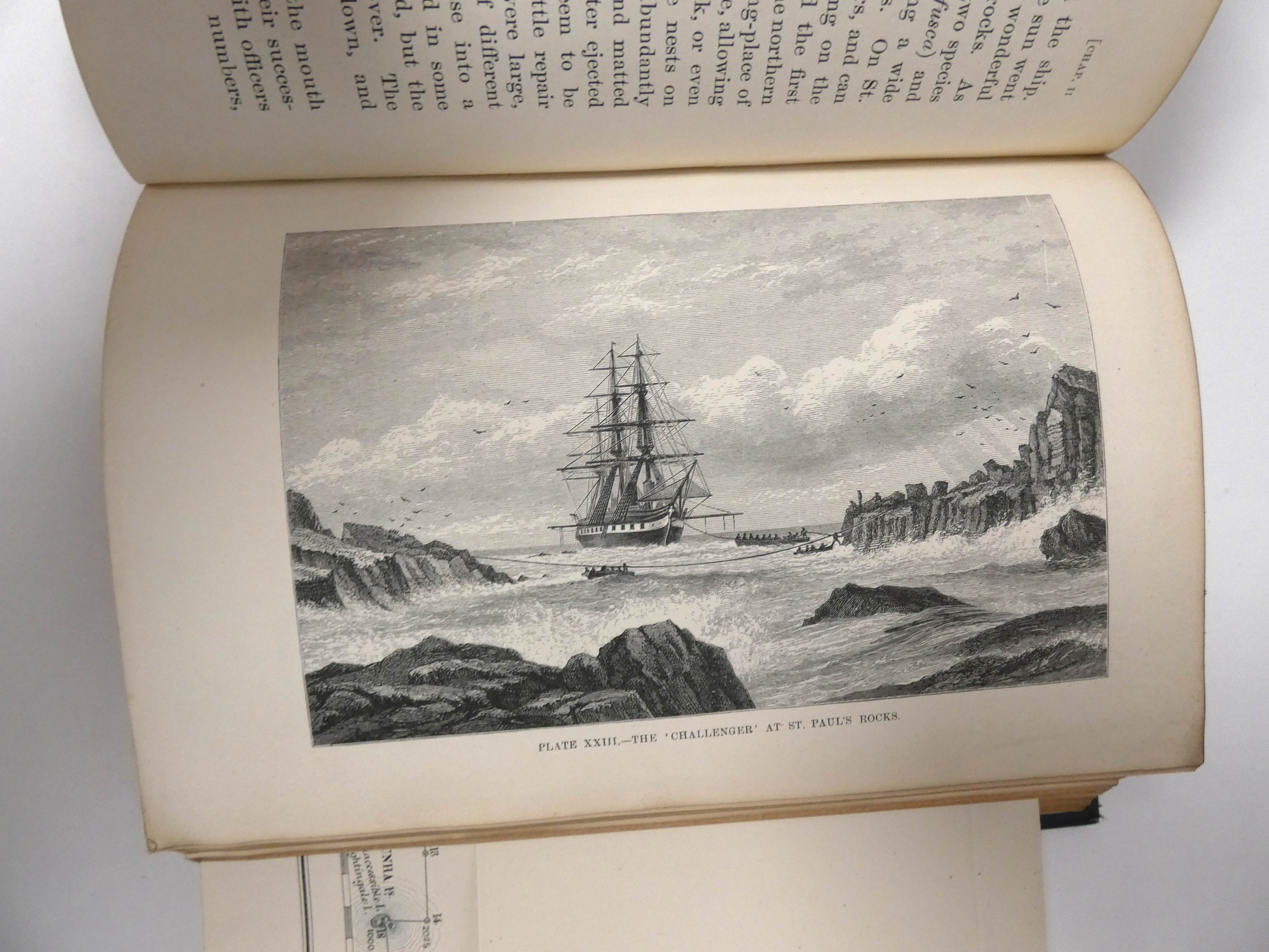 WYVILLE THOMSON SIR C.  The Voyage of the Challenger, the Atlantic, A Preliminary Account of the - Image 4 of 8