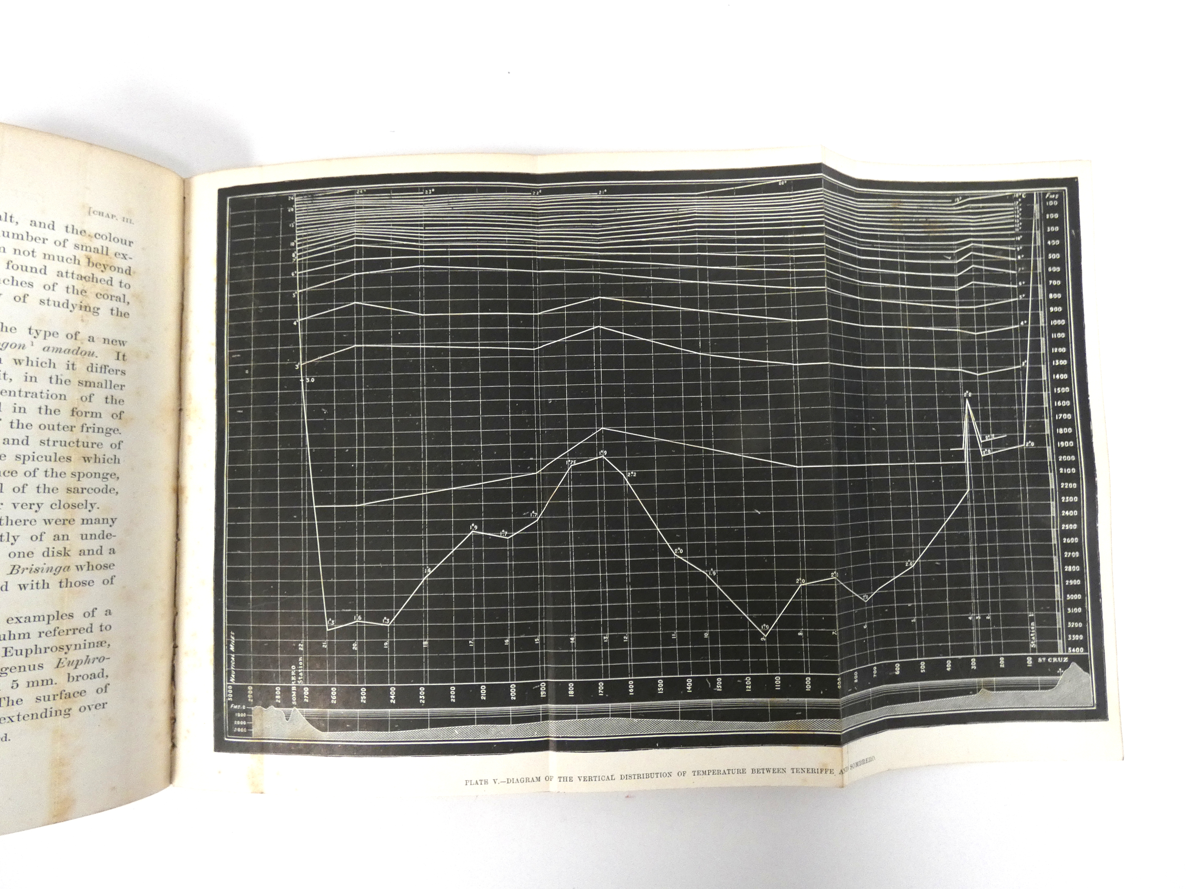 WYVILLE THOMSON SIR C.  The Voyage of the Challenger, the Atlantic, A Preliminary Account of the - Image 2 of 8