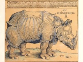 Albrecht Dürer, Nürnberg 1471 - 1528 Nürnberg, Nachfolge, Das Rhinozeros