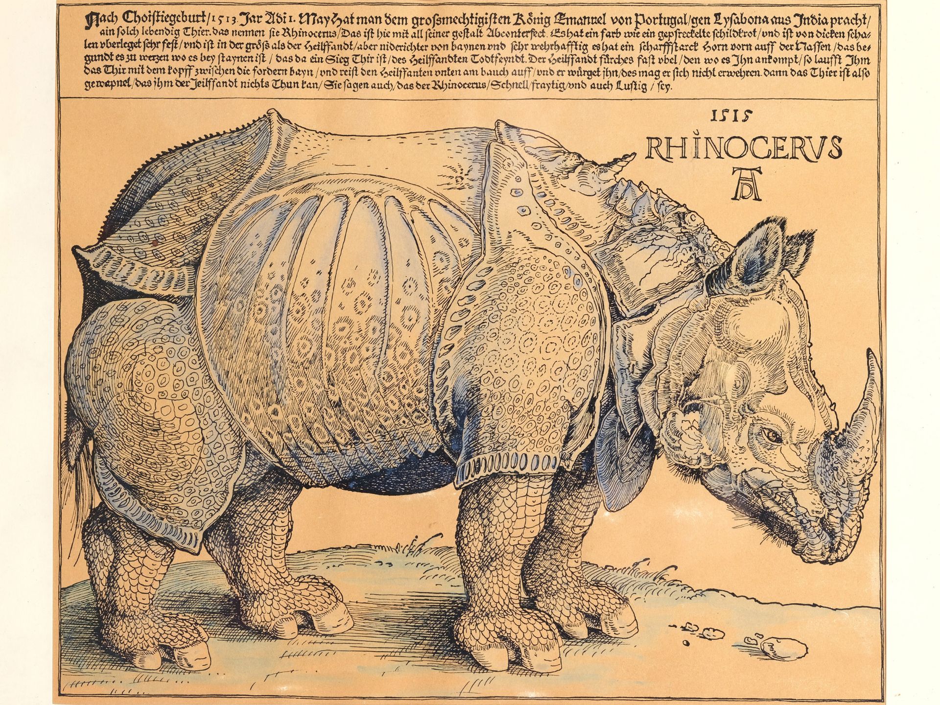 Albrecht Dürer, Nuremberg 1471 - 1528 Nuremberg, follower, The Rhinoceros