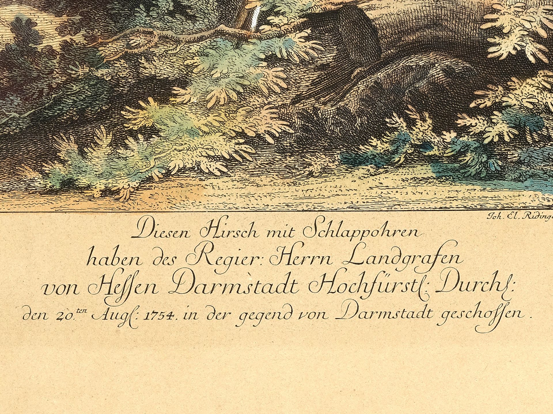 Johann Elias Ridinger, Ulm 1698 - 1767 Augsburg, Hirsch mit Schlappohren - Bild 3 aus 4